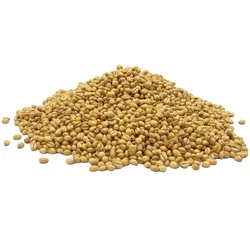 گندم برشته شده