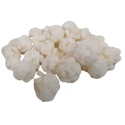 نقل مغز گشنیزی درشت