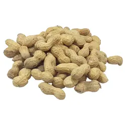 بادام زمینی غلاف دار آستانه