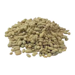مغز تخمه با طعم پیاز جعفری