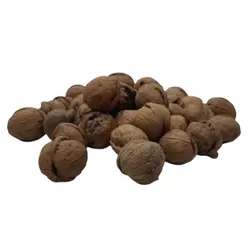 گردو چرب و سفید پوست کاغذی اعلاء