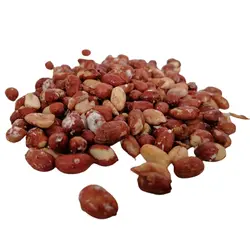 مغز بادام زمینی برشته کپسولی (خارجی)
