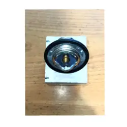 ترموستات فلوئنس اصلی