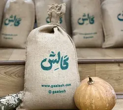 برنج طارم هاشمی (کشت اول) - گالش - حمایت از کشاورزان و خرید محصول سالم کشاورزی