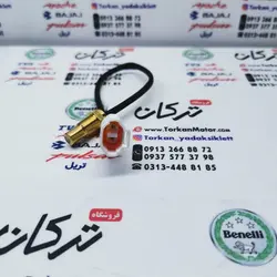 سنسور دما موتور مگلی