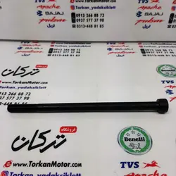 پیچ پروتکشن موتور پالس NS200 ان اس و دینو Z2 (هرعدد)