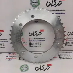 دنده ( طبق ) زنجیر چرخ عقب کوچک 6 پیچ موتور تریل گلد رادیسون