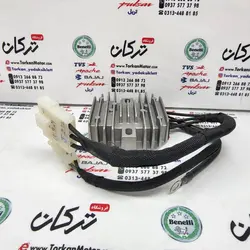 شارژر باطری موتور پالس NS 200 ان اس انژکتور اصلی