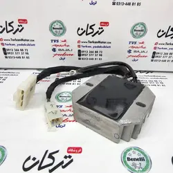 شارژر باطری موتور پالس NS 200 ان اس انژکتور اصلی