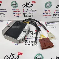 شارژر باطری موتور پالس RS 200 ار اس اصلی