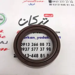 کاسه نمد کمک جلو موتور بنلی 250 تک سیلندر و 300 دوسیلندر شماره 41/53/10.5 (هرعدد)