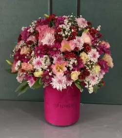 تراریوم هدیه ماندگار 927