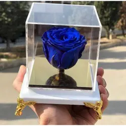 باکس گل رز رنگی 1139