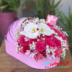 گل نوزاد در گهواره 260