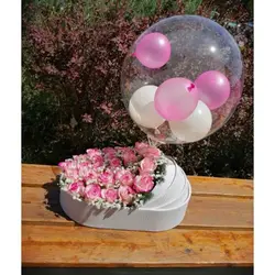 گل نوزاد در گهواره1174