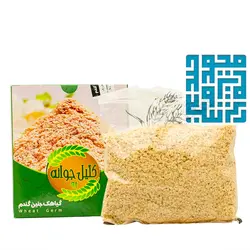 قیمت و خرید پودر گیاهک جنین گندم کلیل جوانه 300 گرمی
