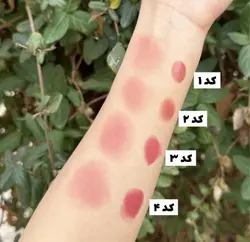 رژگونه مایع تیوپی viviana colors