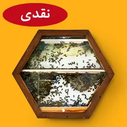 کندووان پلاس آکواریومی