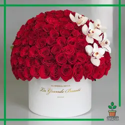 خرید باکس گل رز قرمز کد 119 - فروش گل و گیاه در تهران | گیاه نت