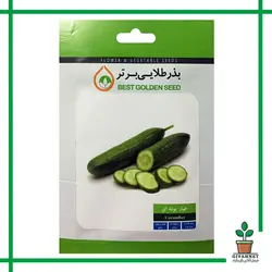 بذر خیار