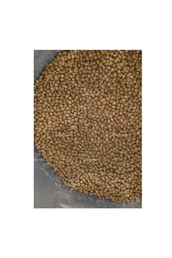 غذای خشک بچه گربه فیدار (فله ۱ کیلویی) | Fidar Patira Kitten Dry Food