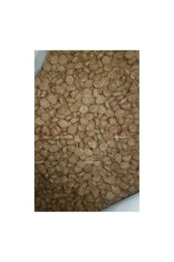 غذای خشک گربه بالغ جوسرا مدل کلاسیک طعم سالمون و مرغ (فله و ۱۰ کیلویی) | Josera JosiCat Classic Dry Food