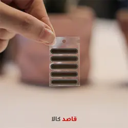 قیمت و خرید اینترنتی برچسب محافظ اسپیکر گوشی نت استیک مدل ML12 بسته 12 عددیقاصدکالا
