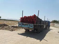 اتصال آبپاش 75 کوپلینگی