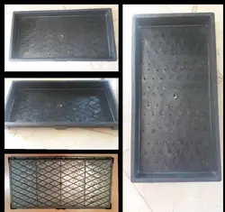 سینی کشت علوفه و برنج (مشکی رنگ)