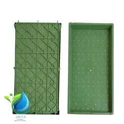 سینی کشت علوفه و برنج سبز