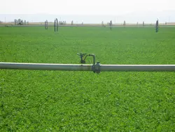 کمربند رول لاین