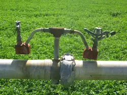 کمربند رول لاین