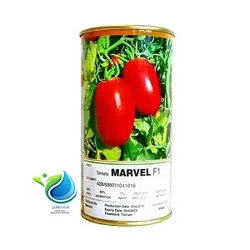 بذر گوجه فرنگی مارول Marvel