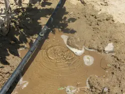 قطره چکان نتافیم 8 لیتر