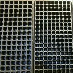 سینی نشاء 162 حفره یکبار مصرف