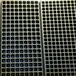 سینی نشاء 162 حفره یکبار مصرف