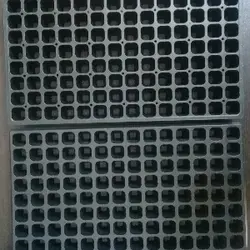 سینی نشاء 128 حفره یکبار مصرف