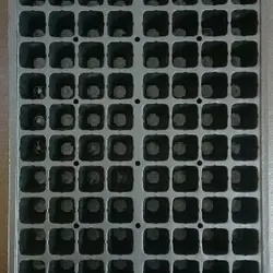 سینی نشاء 128 حفره یکبار مصرف