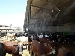 سرخط رزوه ای مه پاش فشار بالا