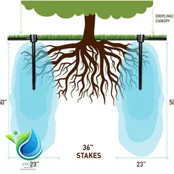 کپسول آبیاری زیر سطحی