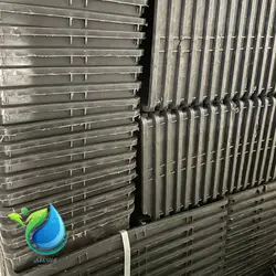 سینی کشت علوفه و برنج