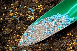 کود یارا میلا کمپلکس