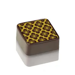 ترنسفرشیت شکلات-CH113