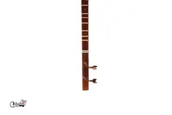 مشخصات، قیمت و خرید سه تار محمدی الگو هاشمی | فروشگاه اینترنتی شهرساز