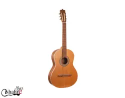 گیتار کلاسیک مارتین مدل D6