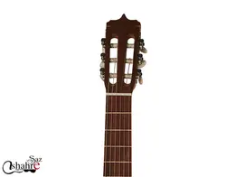 گیتار کلاسیک مارتین مدل D6