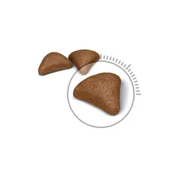 غذای خشک گربه هربال Hairball Care رویال کنین وزن 10 کیلوگرم