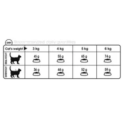 غذای خشک گربه هربال Hairball Care رویال کنین وزن 10 کیلوگرم