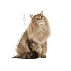 غذای پوچ گربه هربال رویال کنین – Royal Canin Hairball Cat Food