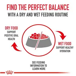 غذای سگ بالغ یورکشایر Yorkshire Adult رویال کنین وزن 1.5 کیلوگرم